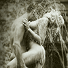 Couple copulating in fountain